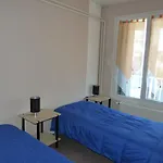 Le Pariou Clermont-Ferrand